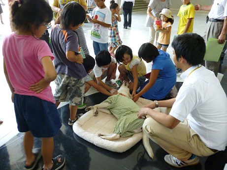 2011　夏休み親子税金教室　富士宮3